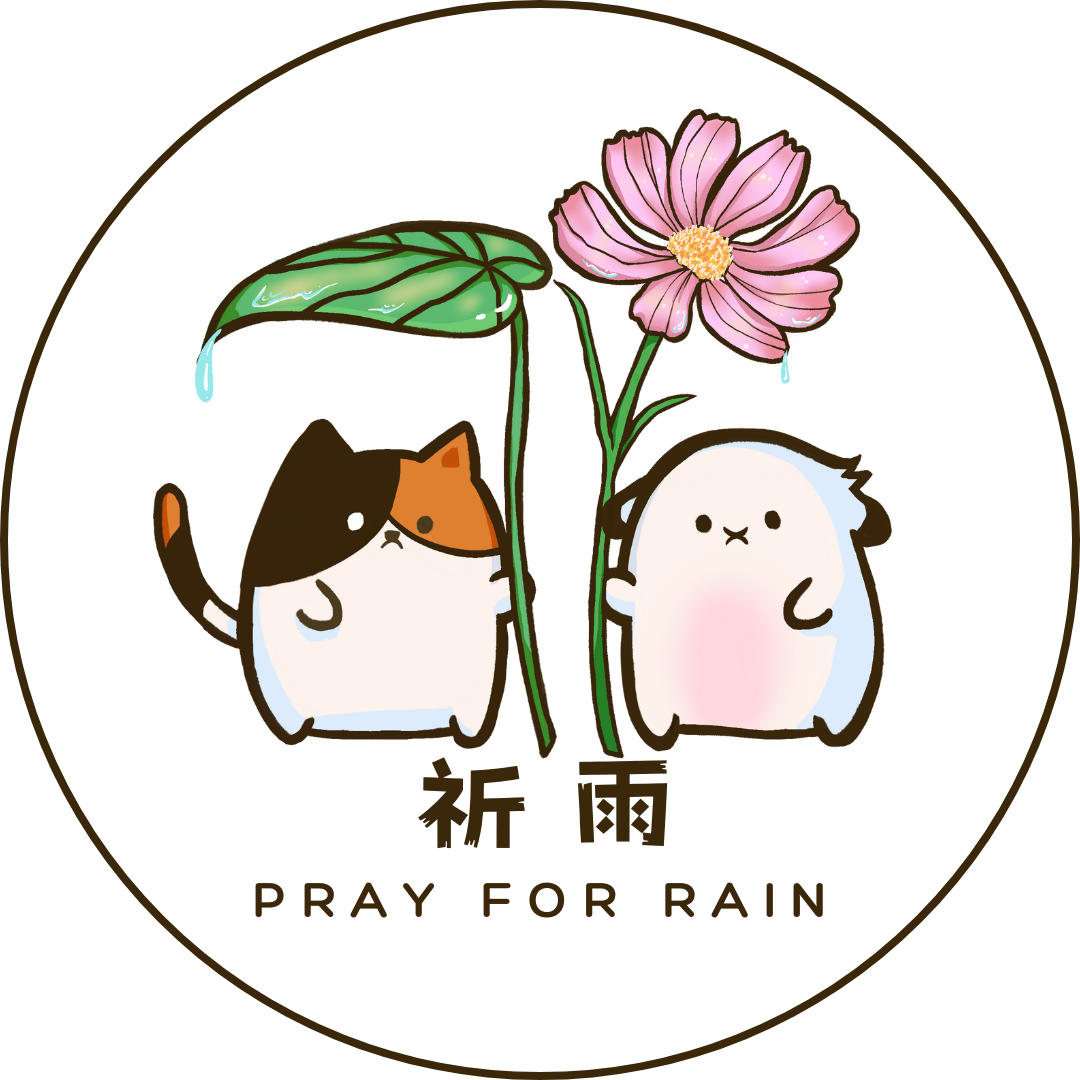 祈雨 PRAY FOR RAIN ☂.｡.:*・ﾟ｜手作飾品